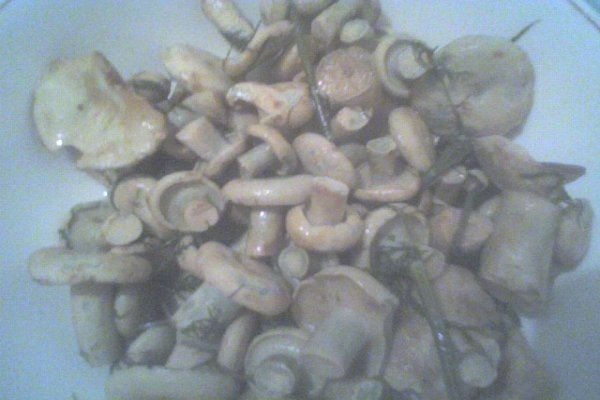 salata de bureti laptosi