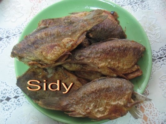 Peste de rau, prajit