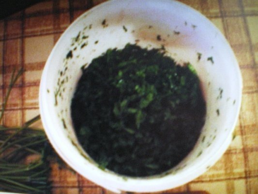 PATRUNJEL LA CONGELATOR