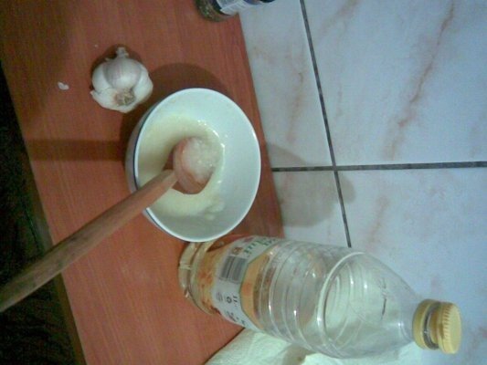 Pulpe de pui in marinata de lapte