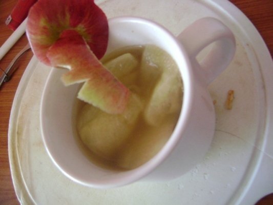 compot de mere takla