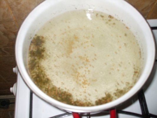 Conopida pentru iarna