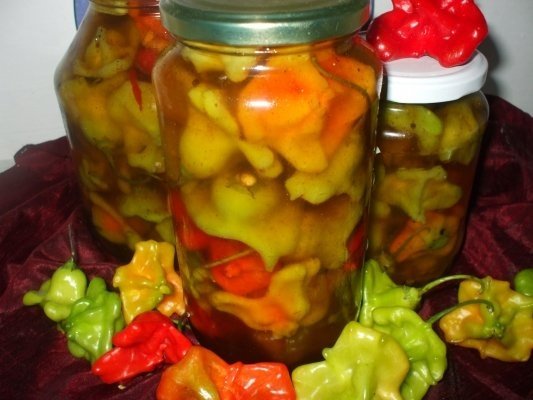 Ardei decorativi picanti in otet
