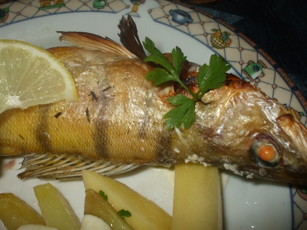 Salau la gratar cu cartofi prajiti