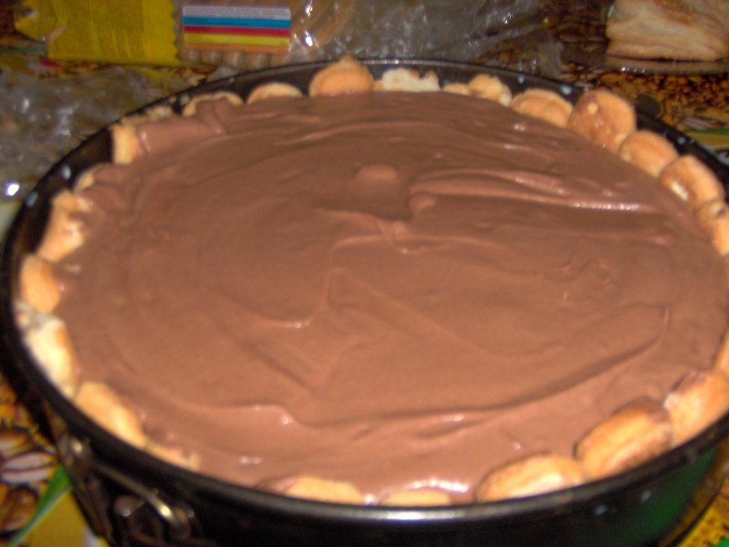 Sarlota de ciocolata