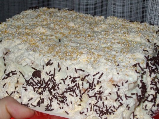 Tort cu piscoturi de sampanie