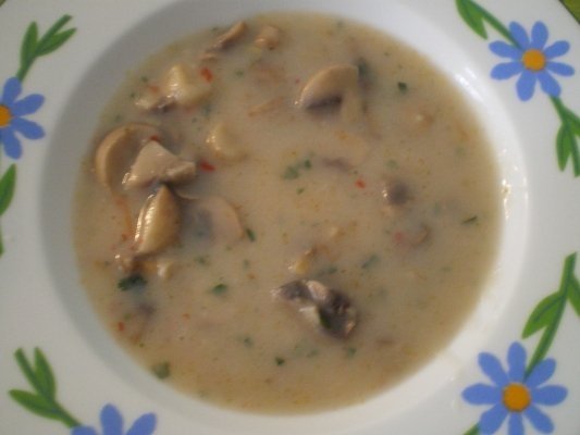 Tocanita de ciuperci