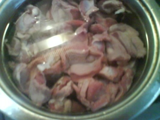 TOCANITA DE PIPOTE SI INIMI DE PUI