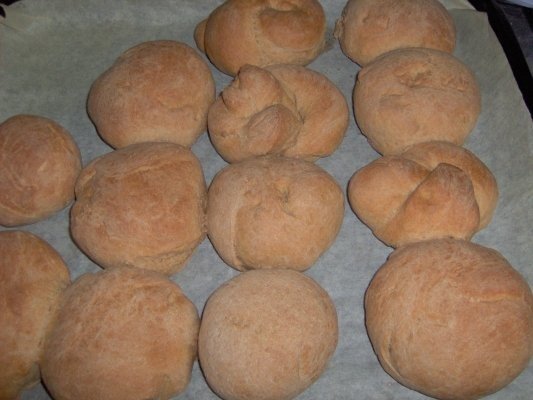 Piinicele din faina integrala