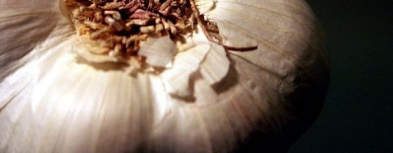 Usturoiul scade colesterolul!