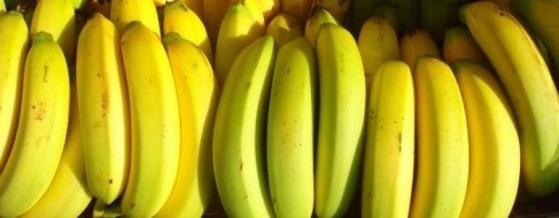 Cate ceva despre banane