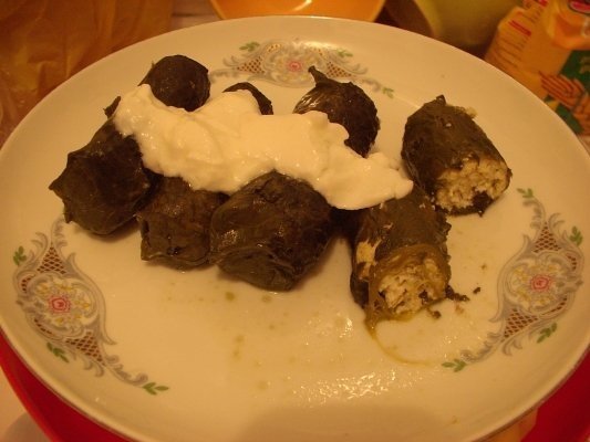 SARMALUTE CU URDA IN FOI DE STEVIE (2)