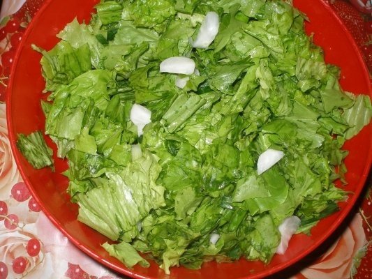 Salata verde cu ridichi