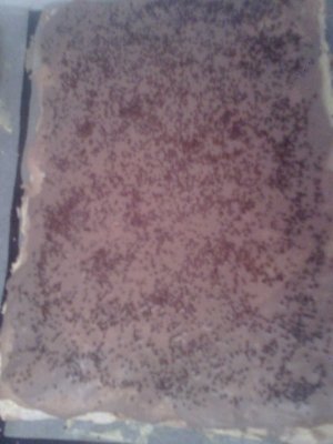 Prajitura cu foi Cristi