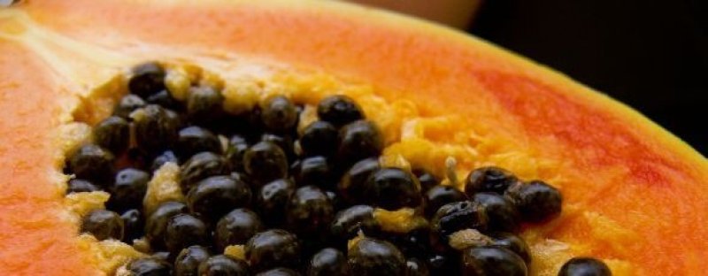 Papaya, fructul ingerilor