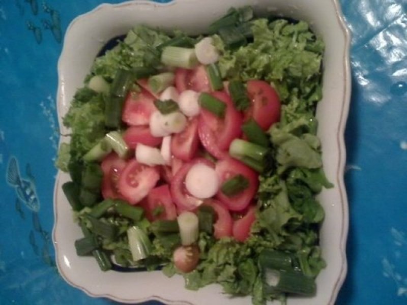 Salata verde knorrica