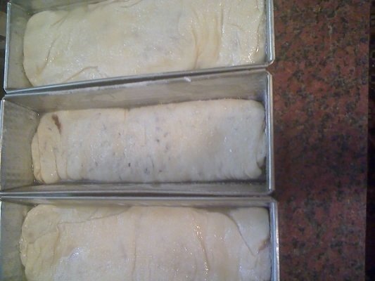 Placinta taraneasca cu mere