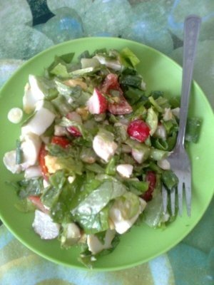 Salata studenteasca