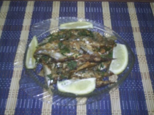 STAVRIZI  LA  CUPTOR