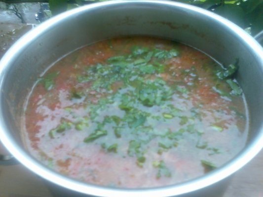 Ciorbita de legume cu corcoduse