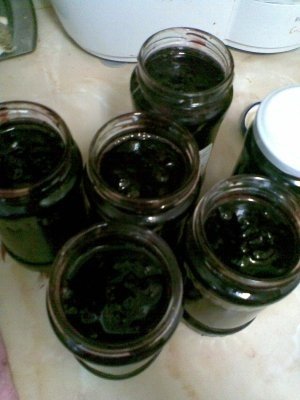 DULCEATA DE CIRESE AMARE