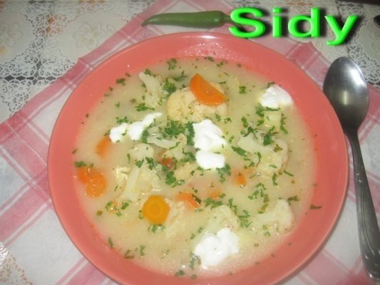 Ciorbita de conopida