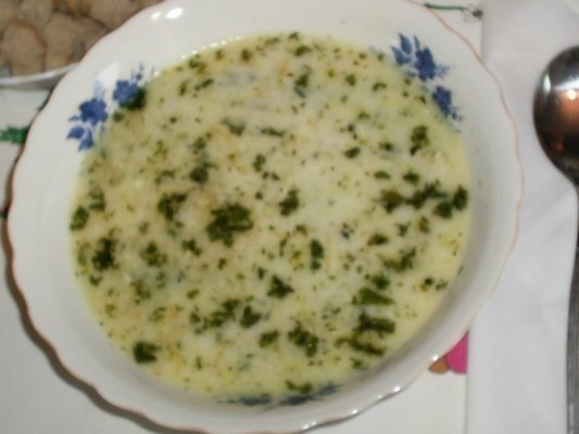 Supa din frunze verzi de morcov Tradaro