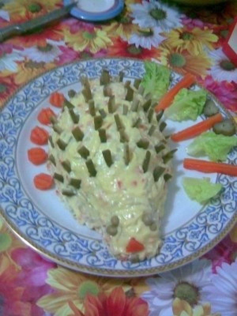 Salata arici
