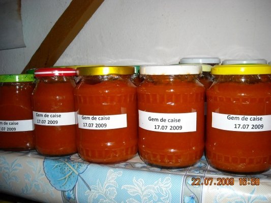 Gem de Caise Delicios