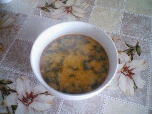 CIORBA DE VARA CU ZARZARE SI PRUNE