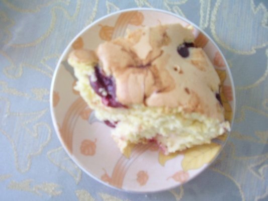 PRAJITURA CU OUA SI VISINE