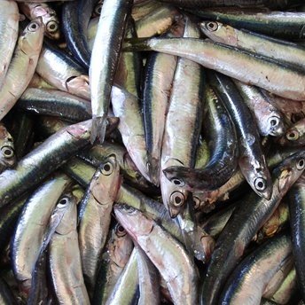 Salata de peste cu naut