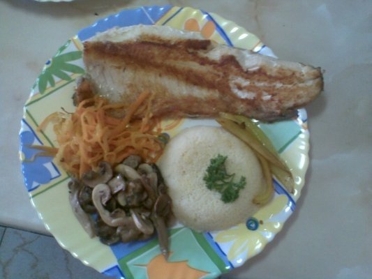 PASTRAV LA GRATAR CU LEGUME SI CUS-CUS