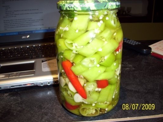 ARDEI IUTE DIN GRADINA LA BORCAN