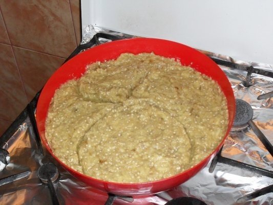 VINETE PENTRU  IARNA(IN CONGELATOR)