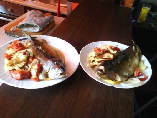 PASTRAV PE PAT DE LEGUME LA CUPTOR