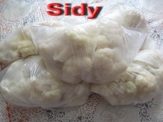 Conopida pentru iarna