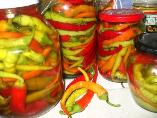 Ardei peperoni in otet