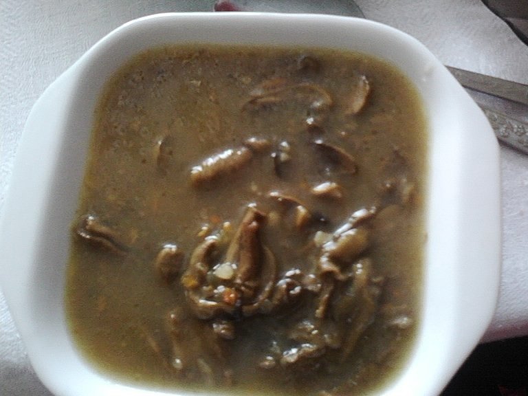 Tocanita de ciuperci uscate