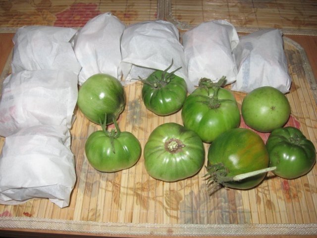 Rosii coapte in propria camara