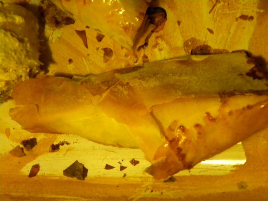 Pui invelit in foietaj cu sos de mustar