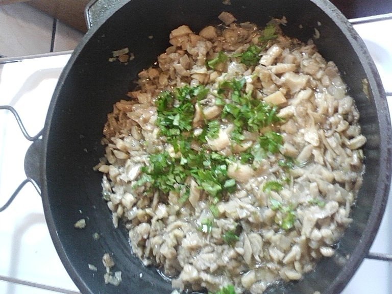 Mancarica de ciuperci pleurotus