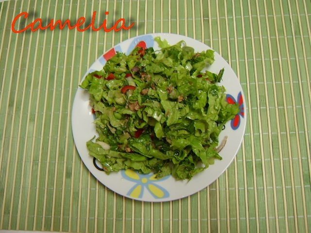 Salata verde cu ton