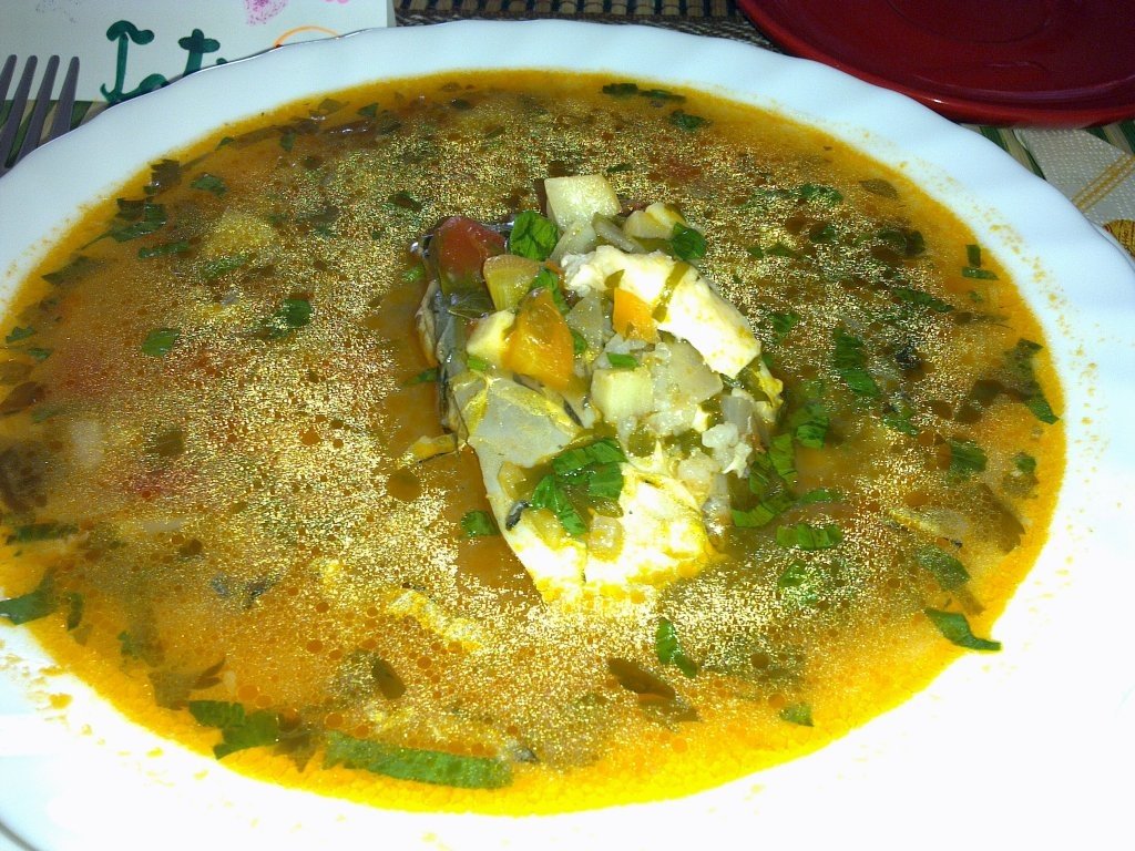 Bors cu somon si crap