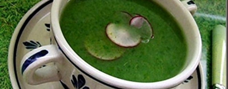 Supa crema de frunze de ridiche