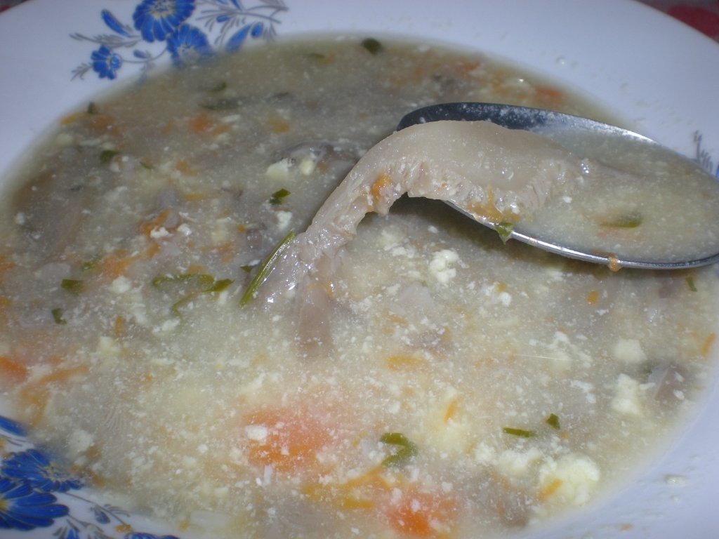 Ciorba falsa de burta