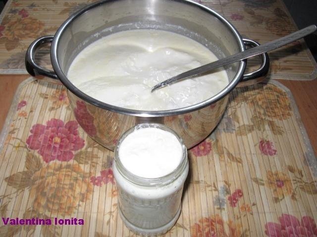Iaurt preparat in casa