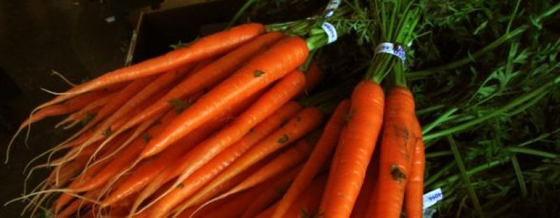 Lucruri incredibile despre morcovi