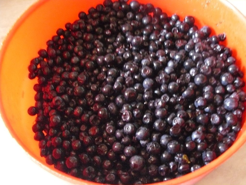 Afine la borcan(bune şi pentru diabet)