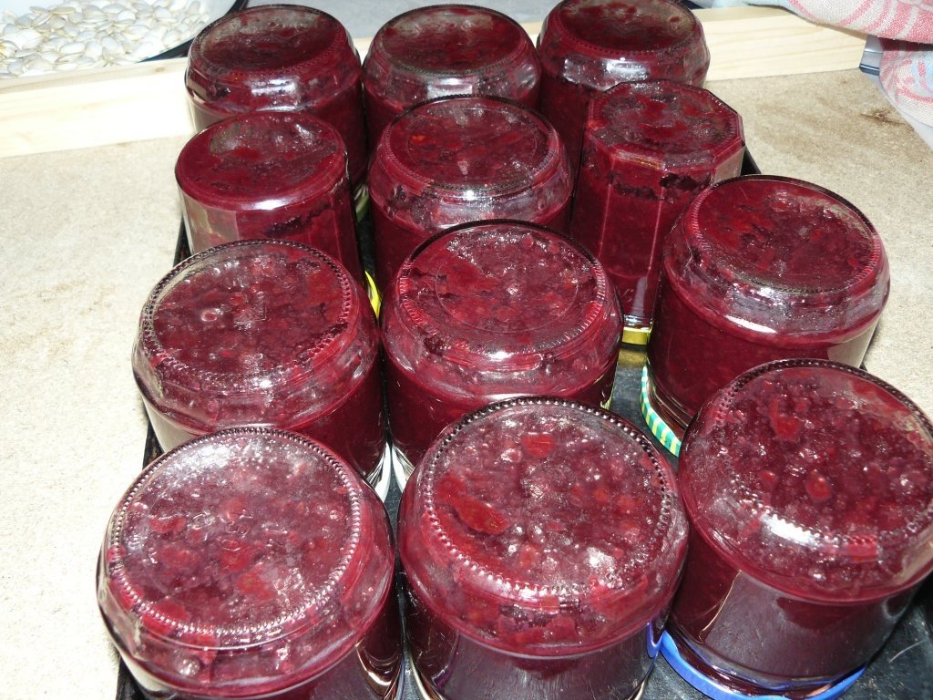 Gem plin de vitamine(merişoare, mure, pere)